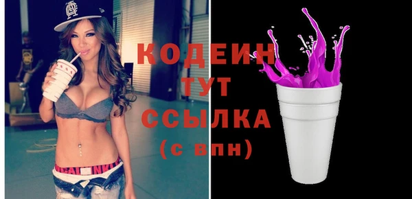 молекула духа Балахна