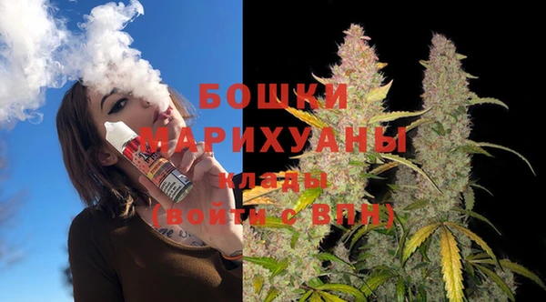 молекула духа Балахна