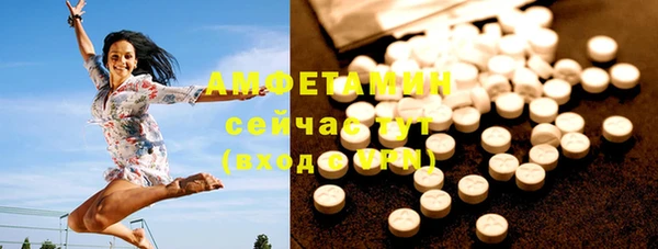 молекула духа Балахна