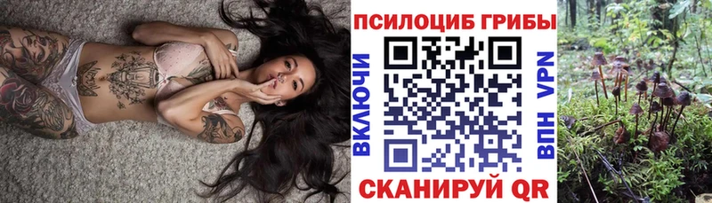 Галлюциногенные грибы прущие грибы  Сегежа 